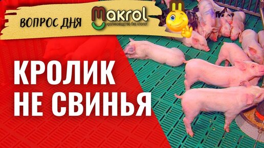 Свинарник своими руками. Как сделать своими руками