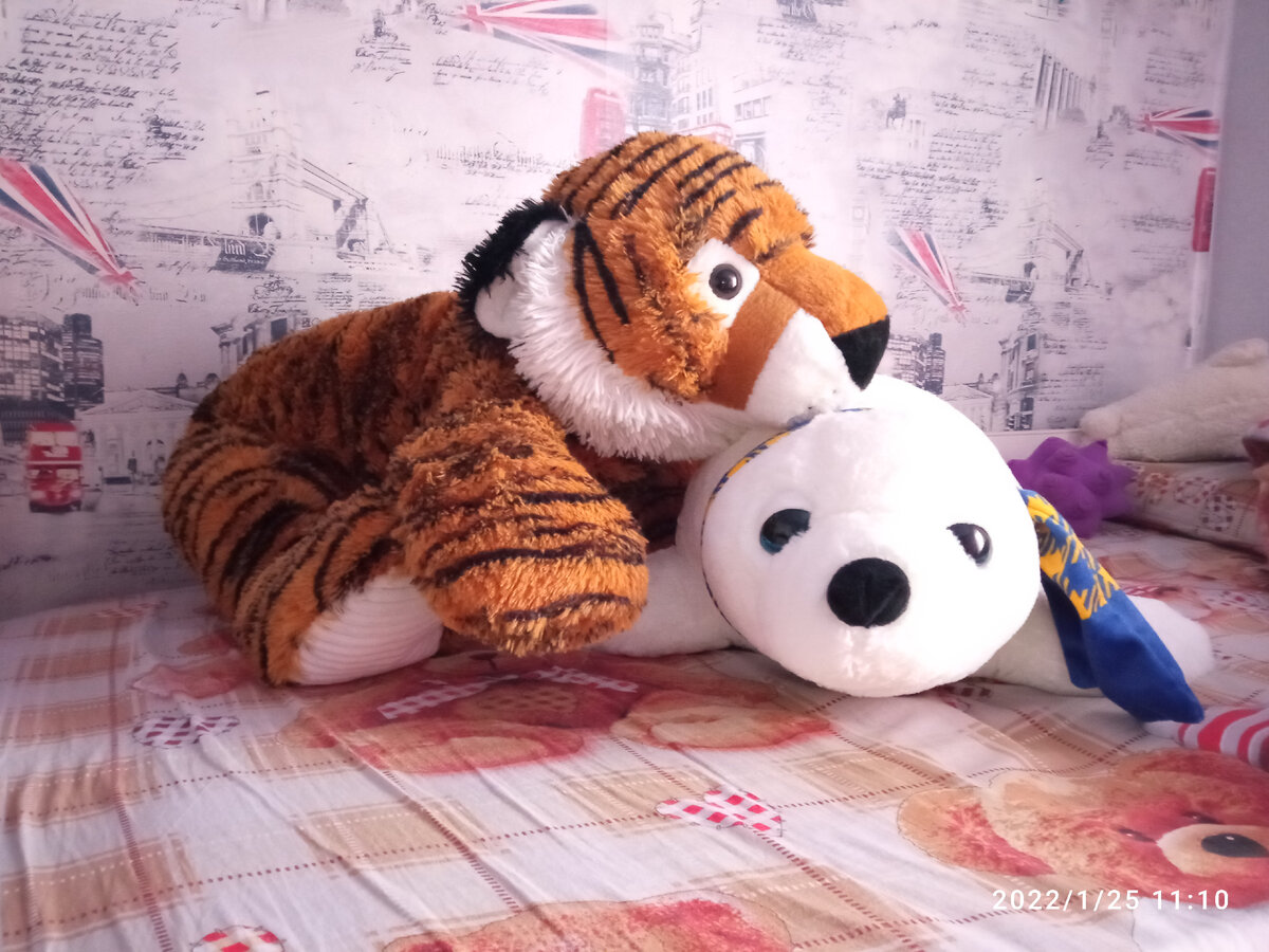 Тигр и тюлентий. Тигр для Вади, тюлентий для Паши