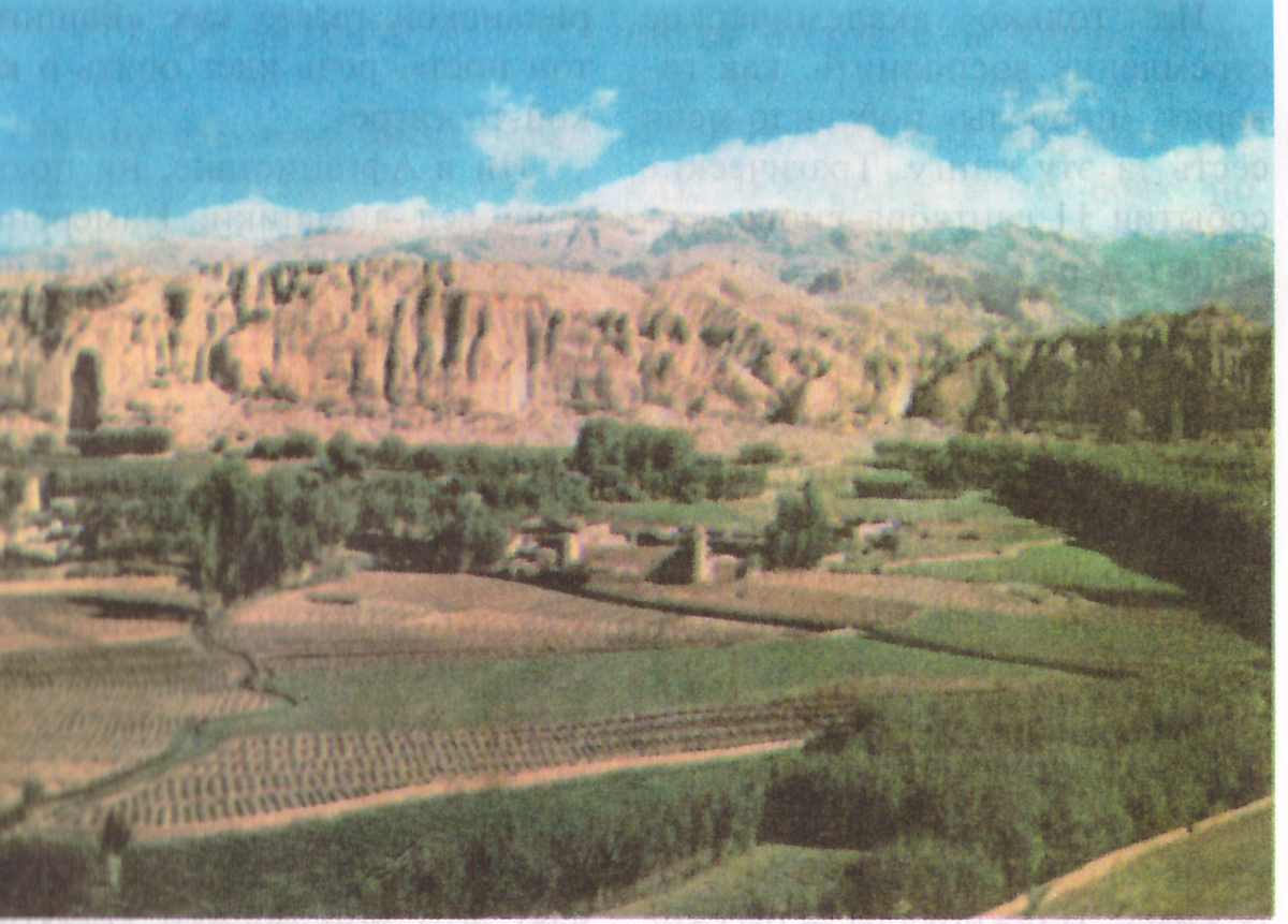 Начало книги полковника Владимира Петрова «Афганский капкан (малоизвестные факты истории)» 