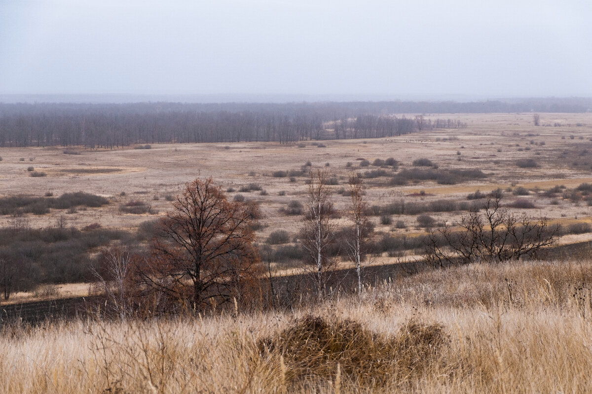 Пейзажи по дороги