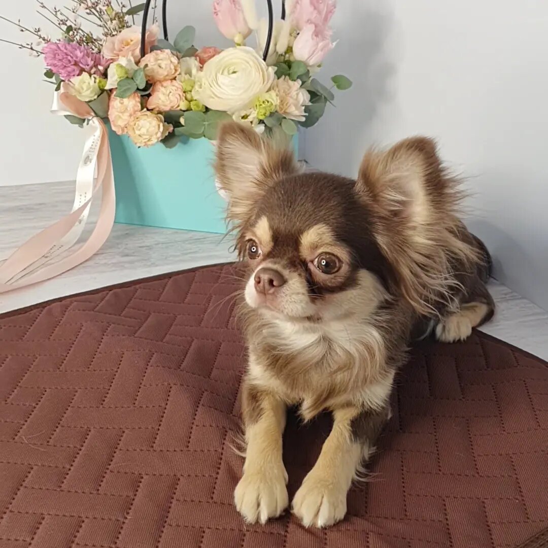 5 лет мы шьём эти пелёнки, время от времени совершенствуя их составные части.