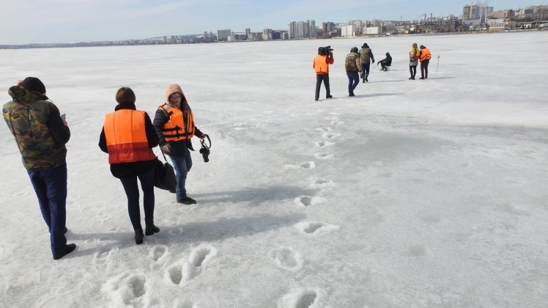 Фото из источников