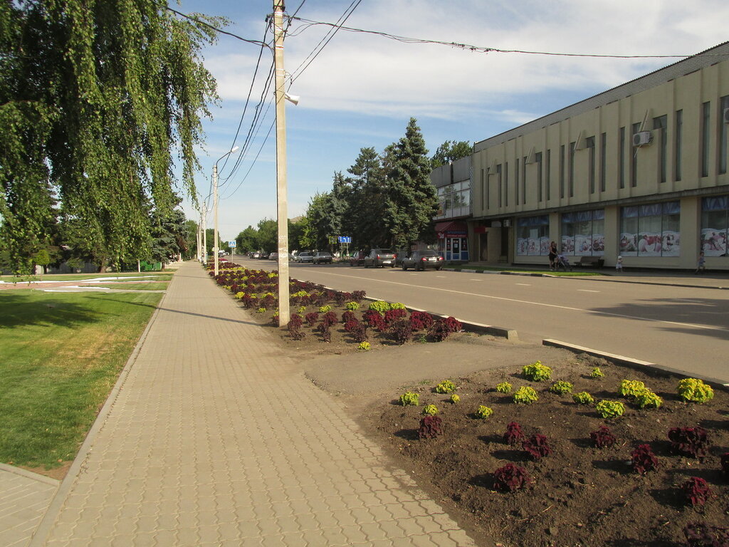 Погода в чертково ростовской. Чертково Ростовская область. Поселок Чертково. Посёлок Чертково Ростовская область парк. Парк в Чертково Ростовской области.