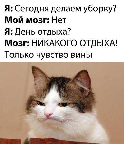 1#чувствовины #психология #психология жизни #психология женщин #психология отношений #психолог онлайн #онлайнпсихолог 