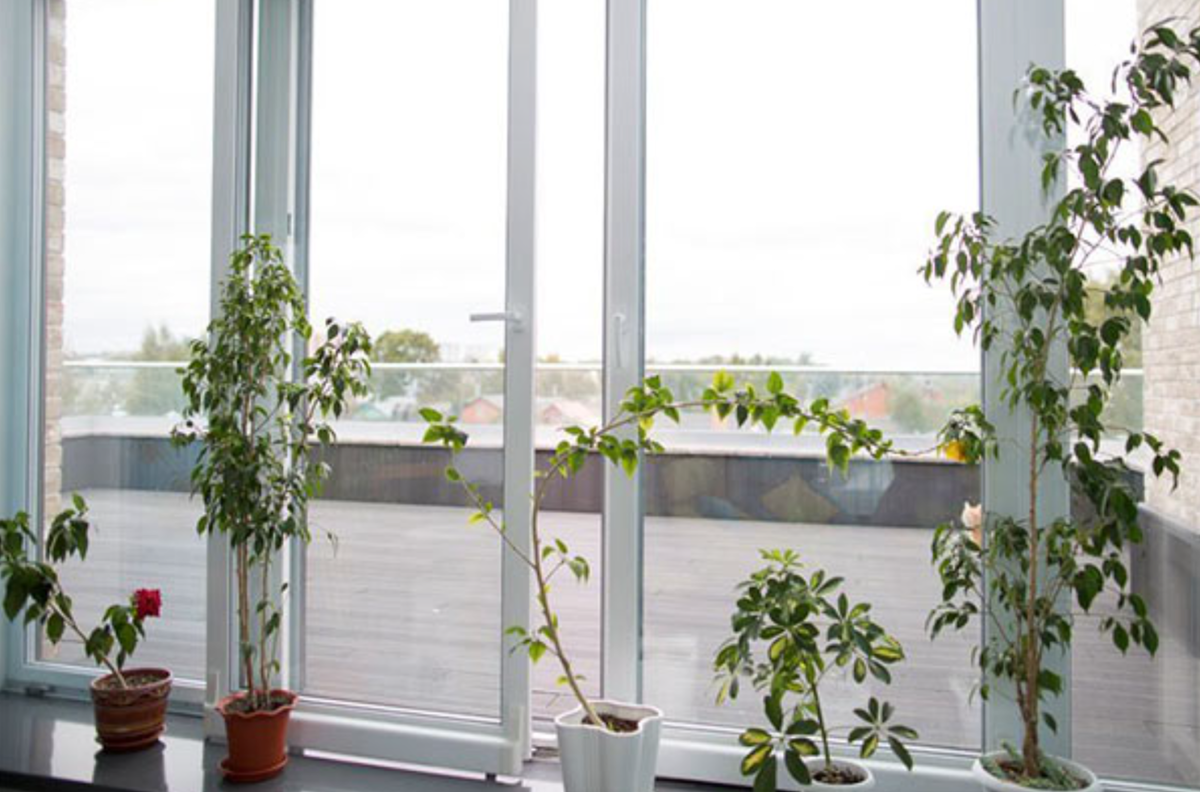 Порталы PSK можно использовать как двери или окна с очень большими створками // Фото с сайта oknafortaly.ru 