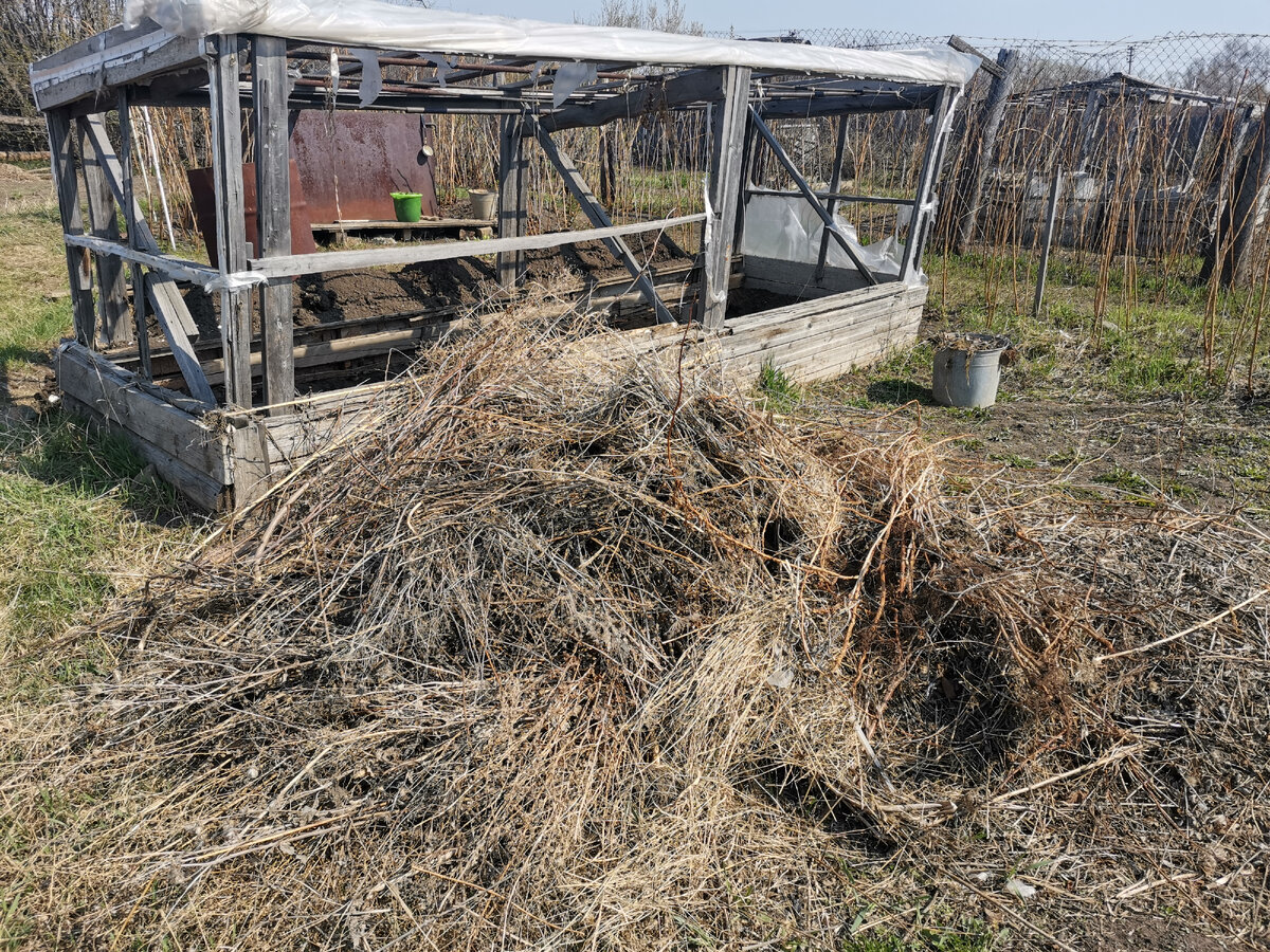 Теплая грядка для огурцов 