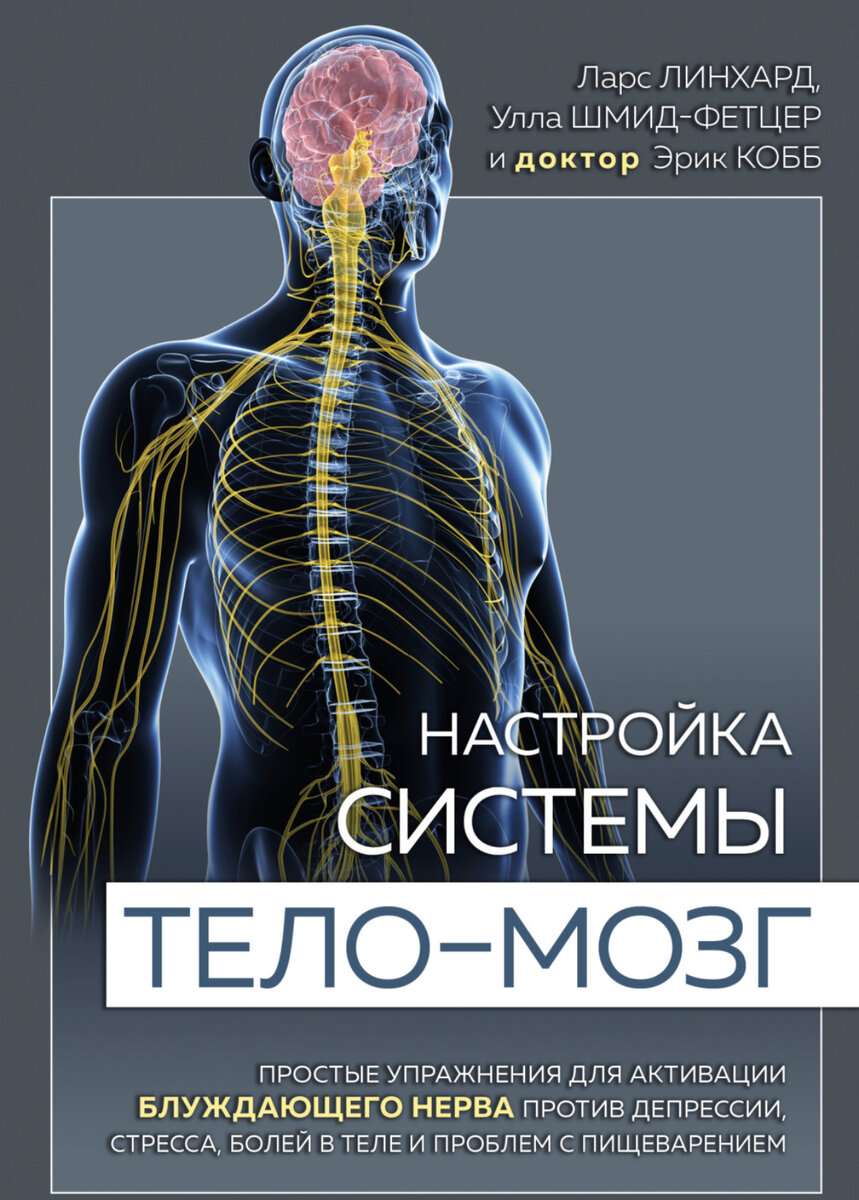 5 способов как стимулировать блуждающий нерв, чтобы уменьшить стресс и  тревогу. | Наталья в балансе | Дзен