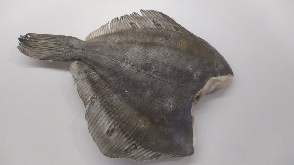 Небольшая камбала сухой заморозки