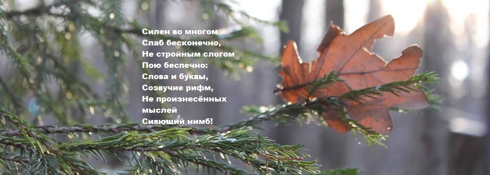 Мои стихи и фото