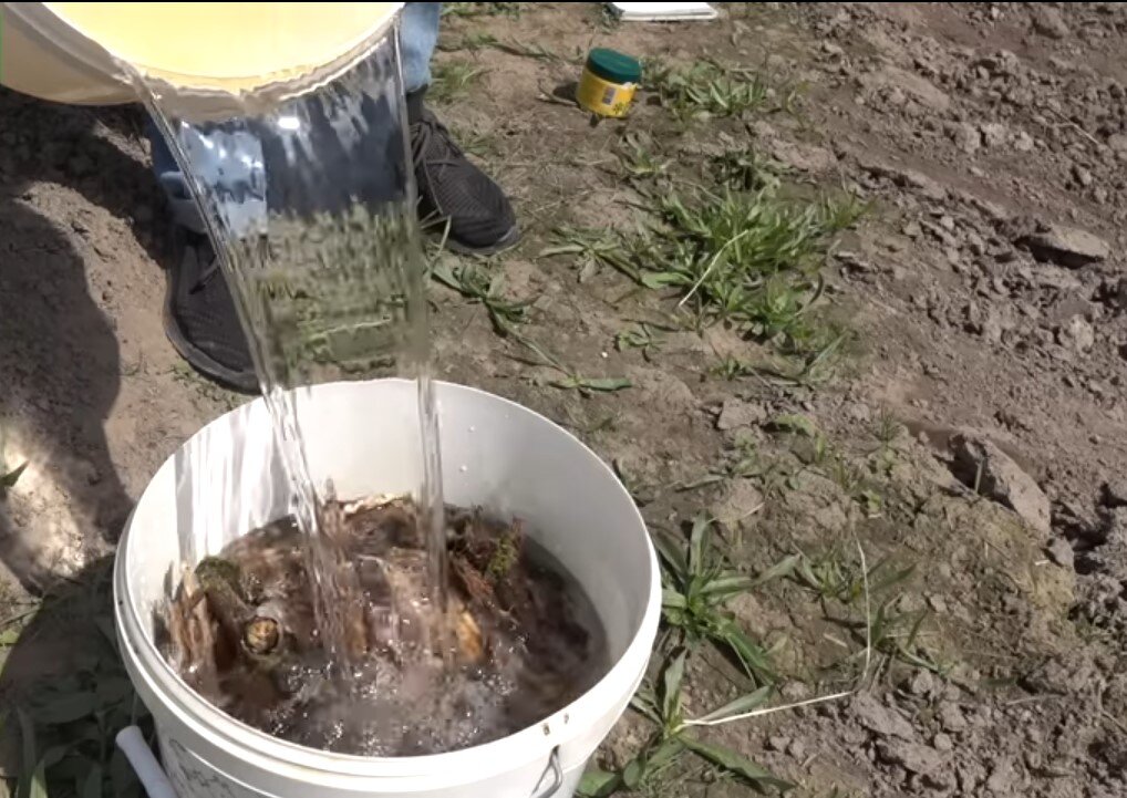 Фото: Дмитрий Кастрицкий