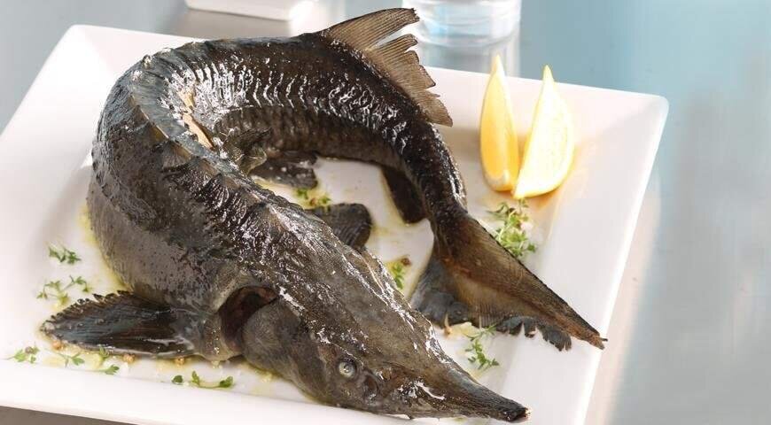 Торт осетрина рыба