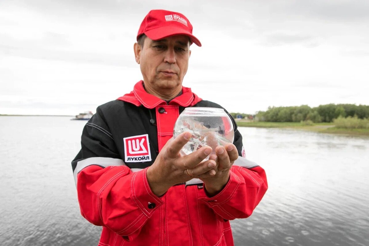 Фото: Данил Диянов / медиа-холдинг "Западная Сибирь"