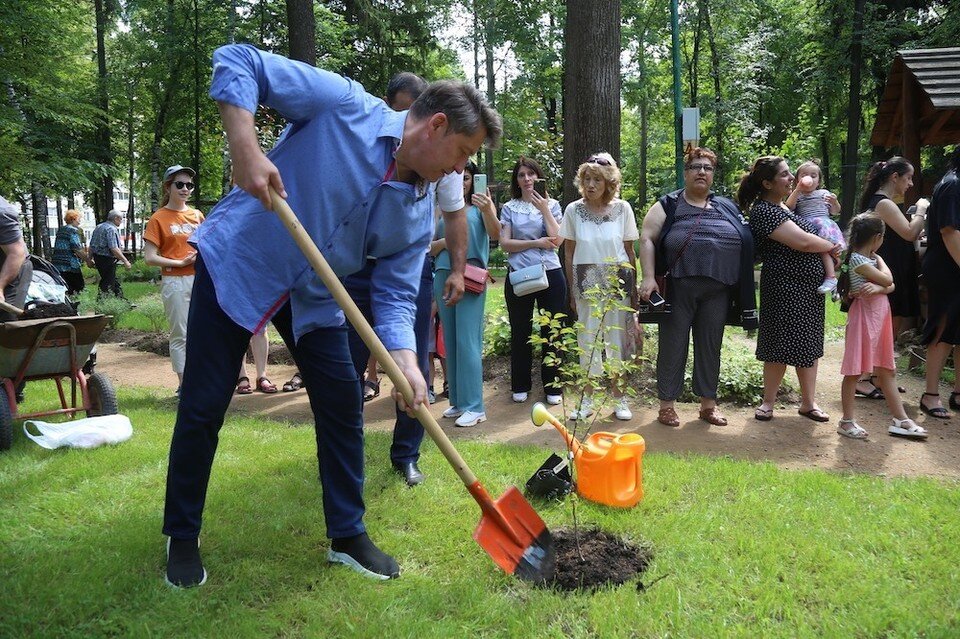     В Саду дружбы народов парка Космонавтов были высажены 4 абрикосовых дерева. Фото: izh.ru