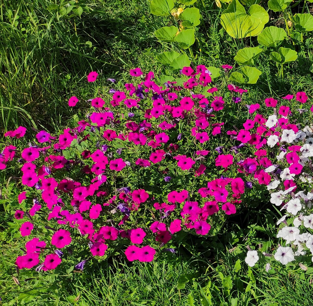 фото от 24 июля