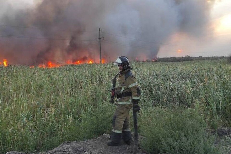     Природный пожар на окраине донской столицы вспыхнул вчера. Фото: пресс-служба управления МЧС России по РО