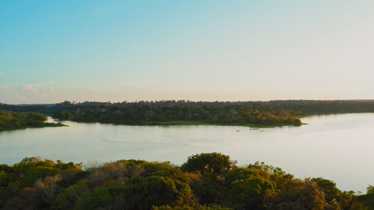 Дождевой лес Амазонии. Река Амазонка