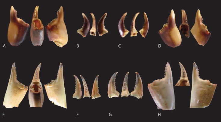   Mariana Nabias et al. / Frontiers in Environmental Archaeology, 2023