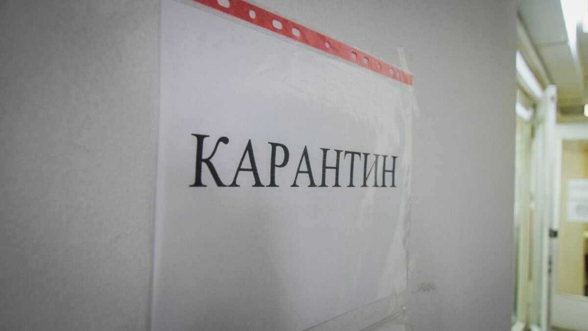    Карантин действует в нескольких образовательных учреждениях Нижегородской области из-за гриппа. В настоящий момент ограничения введены на 6,5% детсадов и школ, информирует Роспотребнадзор.