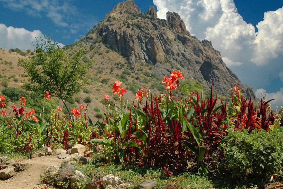 Фото из архива ООПТ