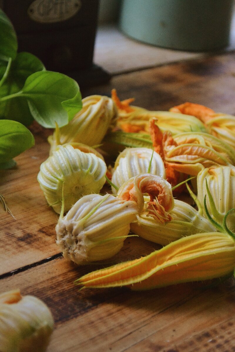 Цветы кабачка по рецепту аллы ковальчук