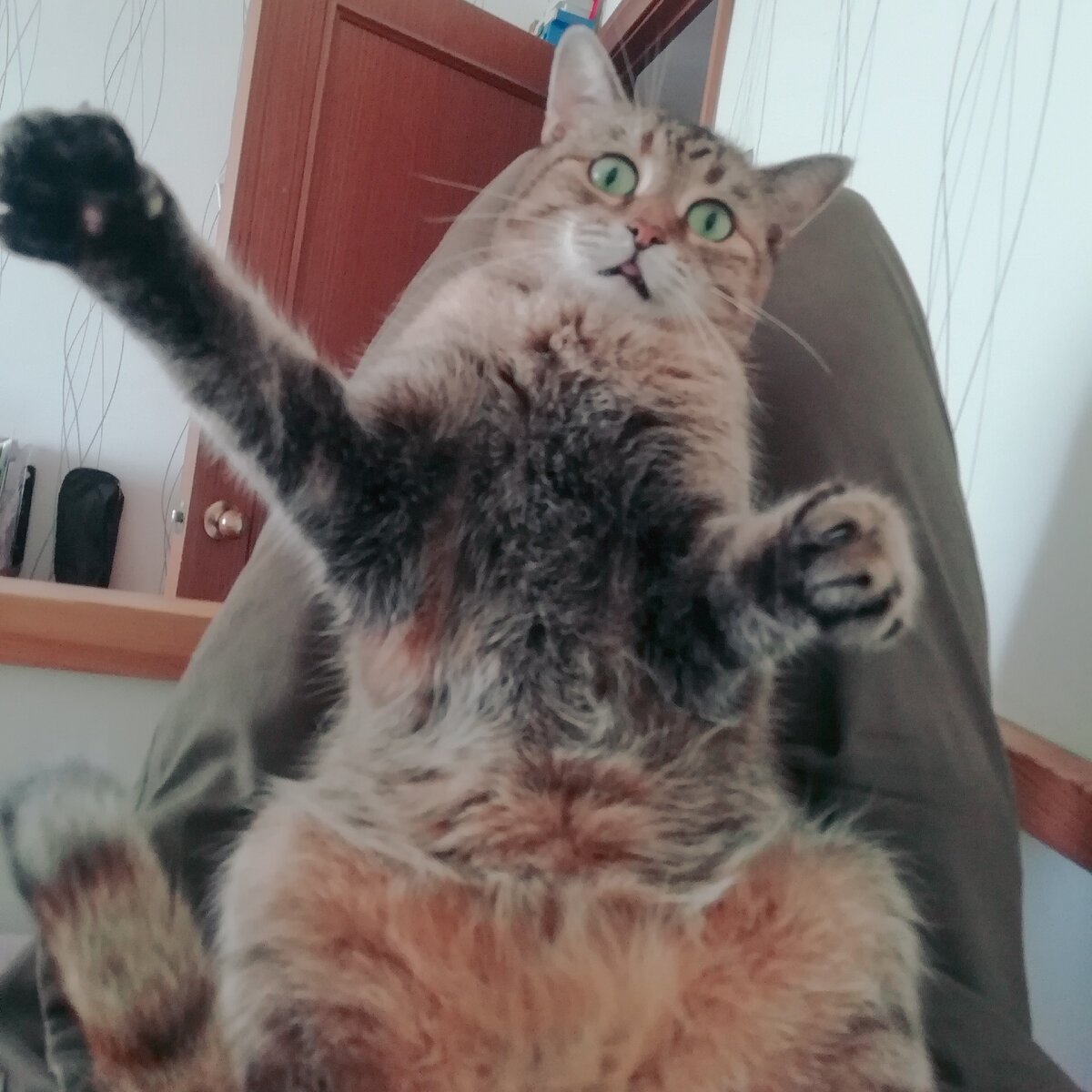 Ещё 1 обанкротившийся предприниматель.