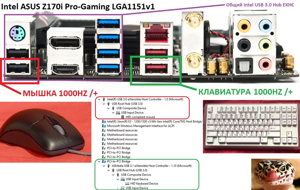 Правильное подключение мыши и клавиатуры к пк | Modernist news | Дзен