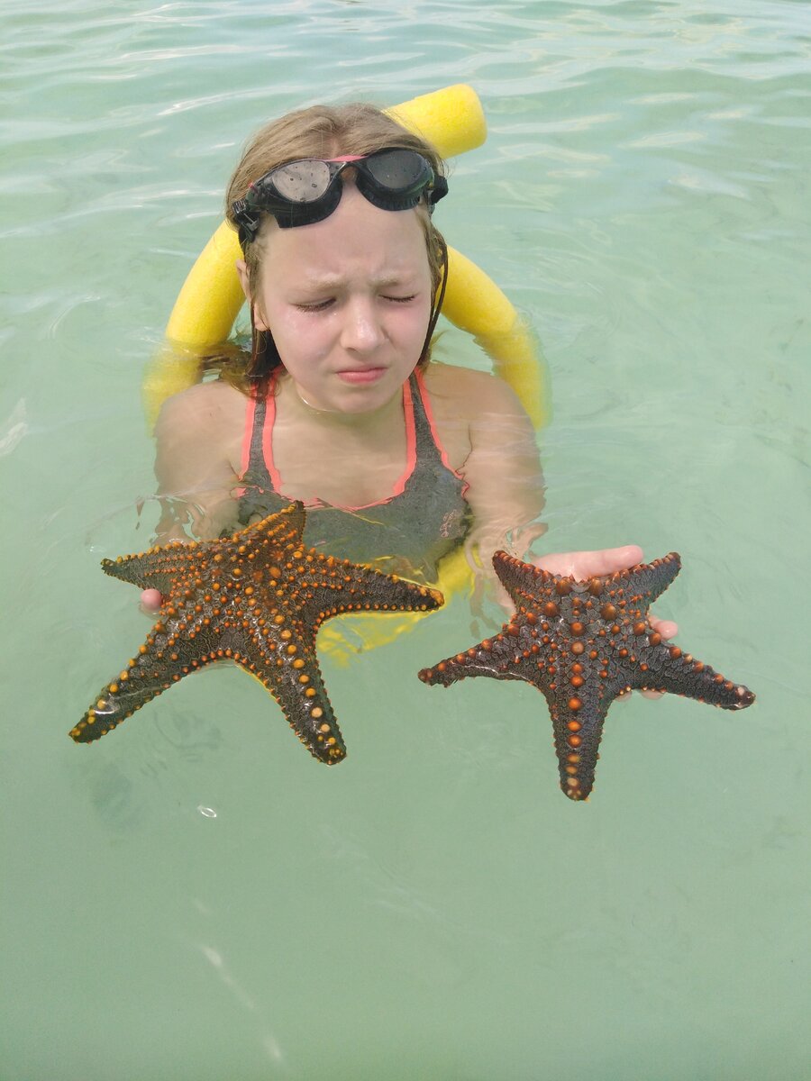 морские звезды
