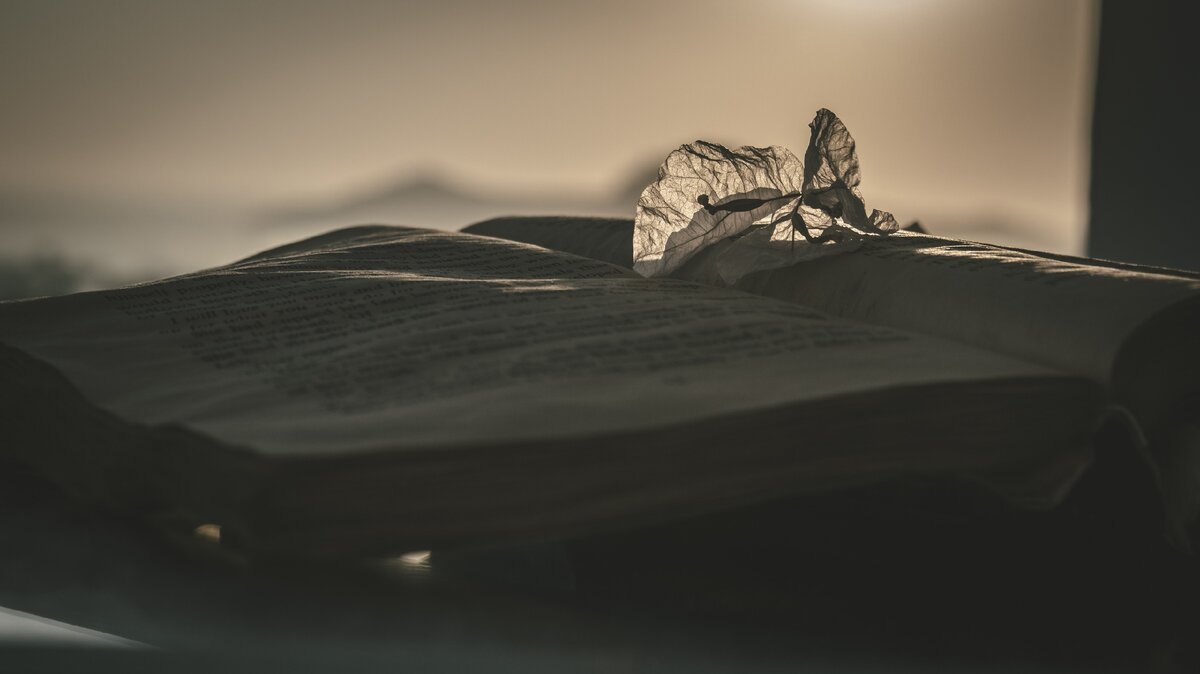 /фото любезно предоставлено Licharal Max ссылка контакт: https://vk.com/id203815348/