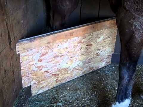 фото из открытых источников.