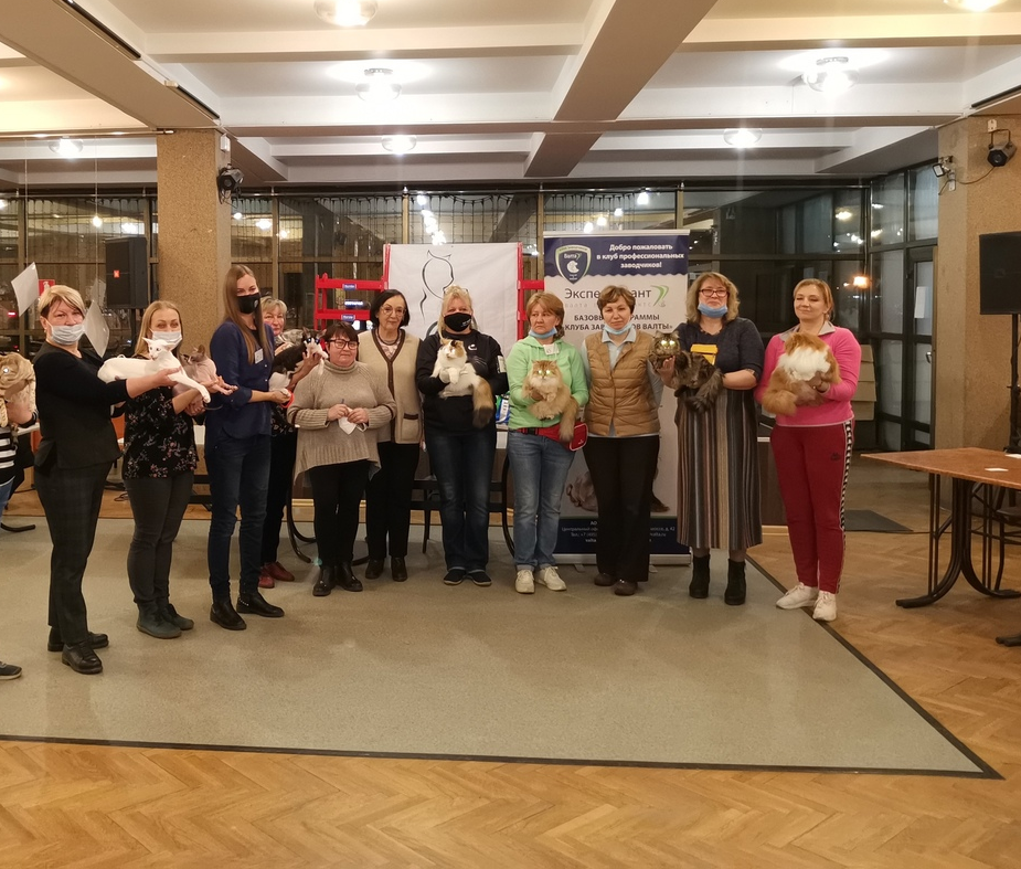 2-х дневная выставка кошек