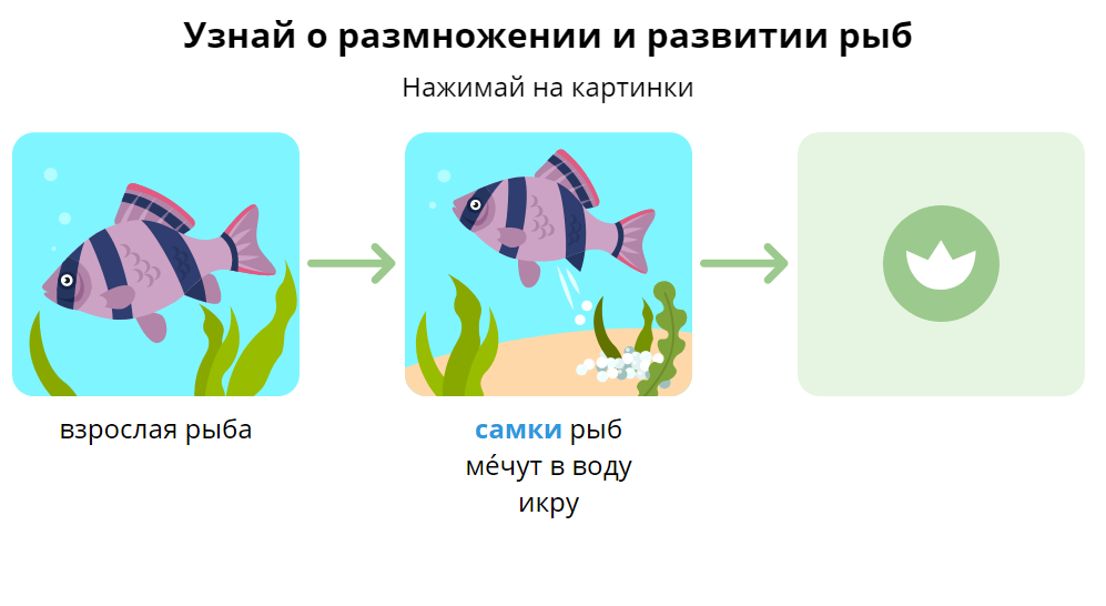 Листай, Стоп! а что значит слово "самка"?