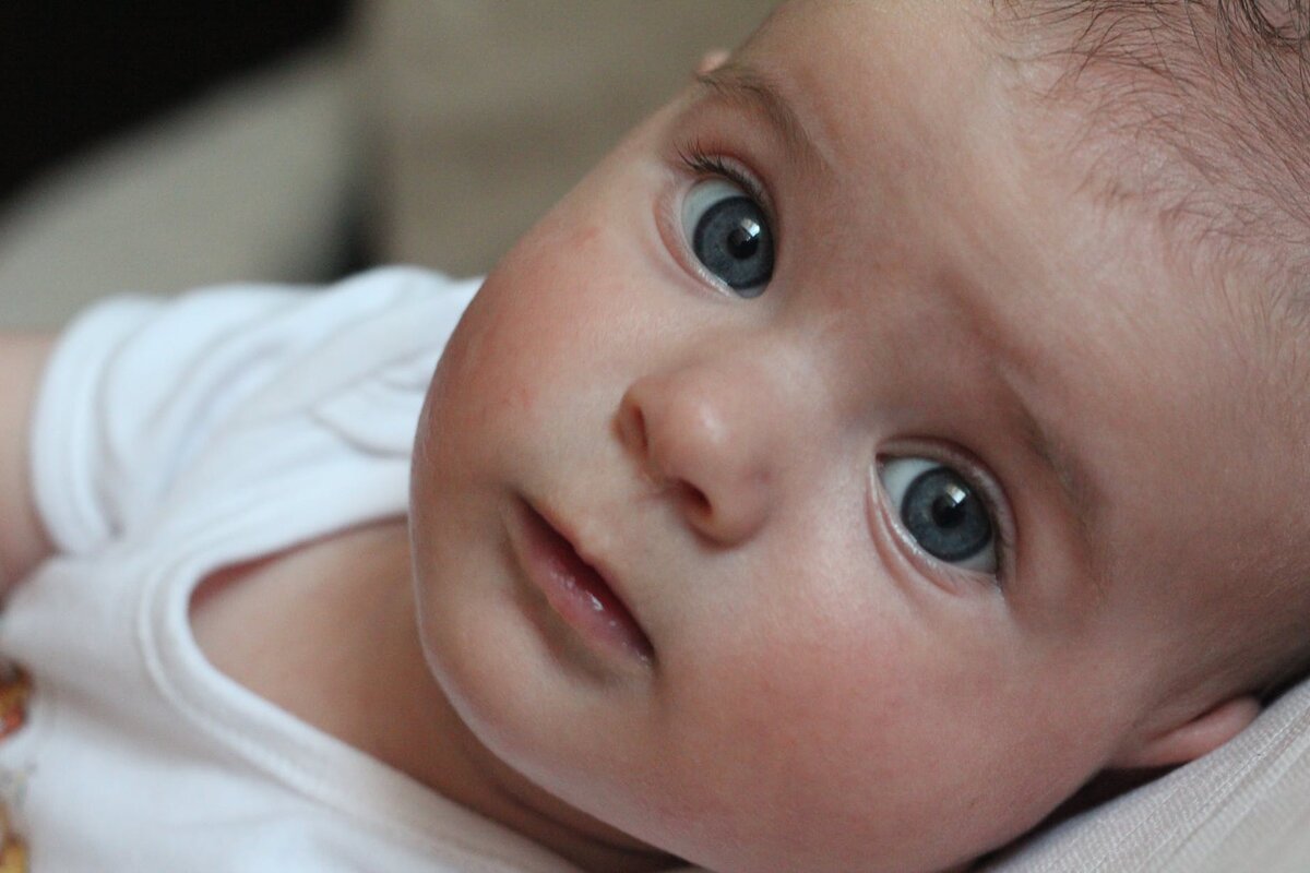 Фото с Яндекс.Картинки