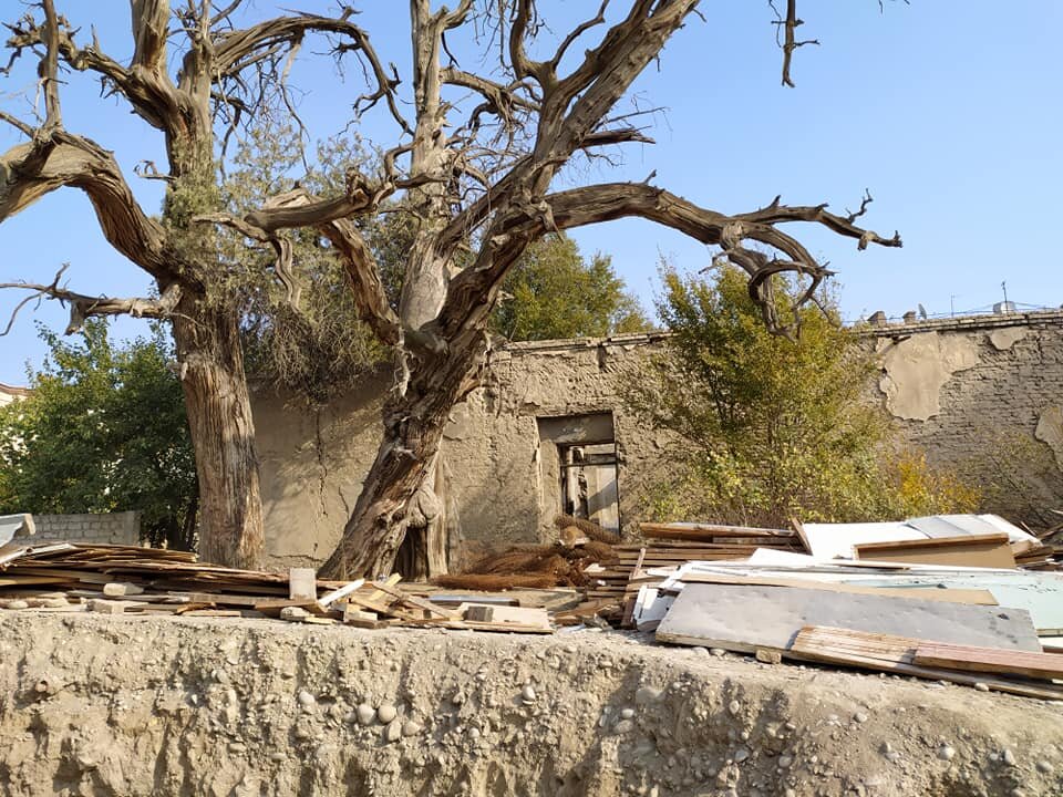 Фото: предоставлено автором