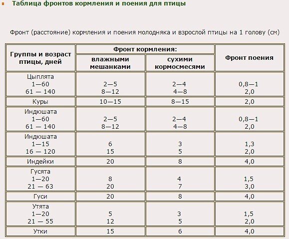 Примерные рационы питания индеек — Птицеводство. Разведение индеек -> Кормление индеек