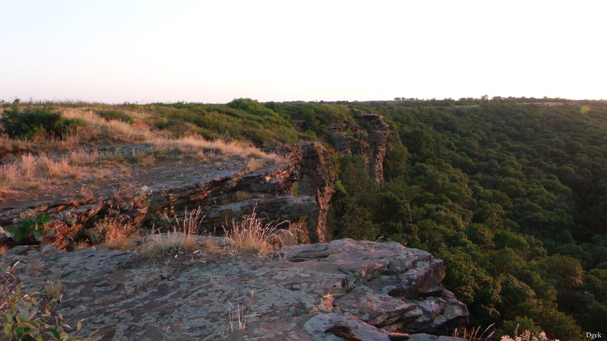 Донецкий кряж