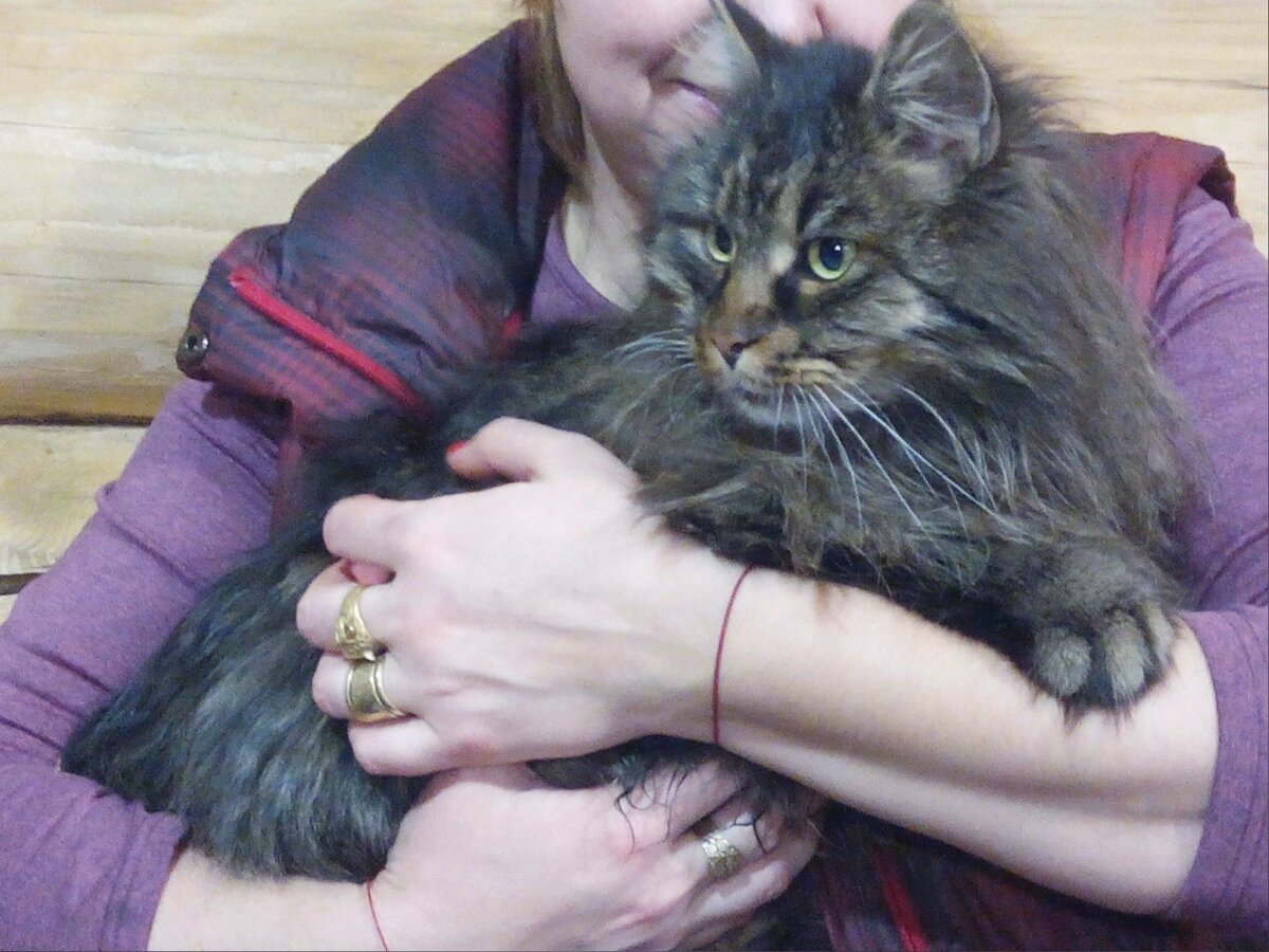 Фото автора. Помните историю "Васька, который выжил"