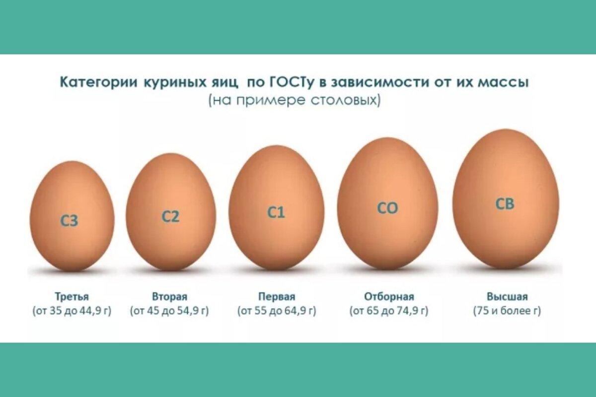 Как понять что яйцо. Яйцо куриное категория с0. Классификация куриных яиц с1. Яйца категория с2 вес яйца. Яйцо 2 категории вес.