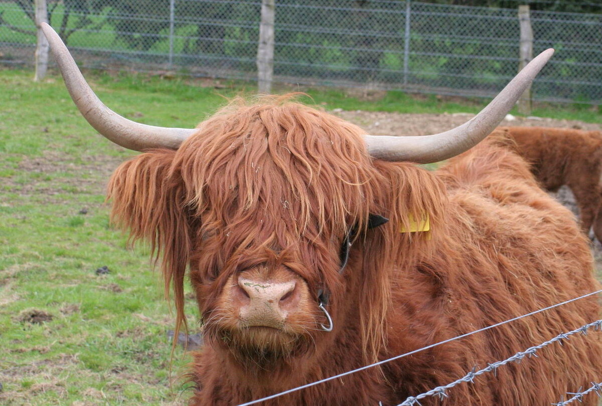 Фото freeimages.com