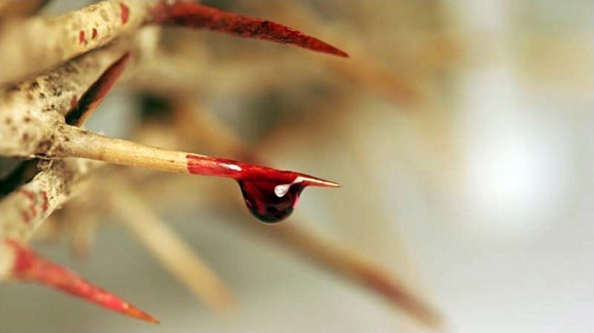 Сила в крови