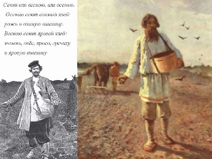 Картина сеятель мясоедов