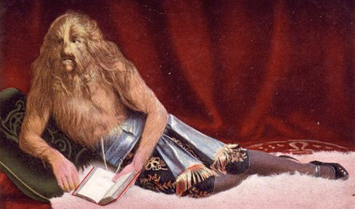 Стефан Бибровский