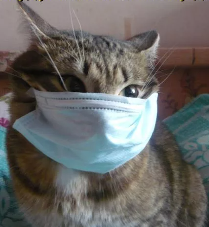 смешно:))