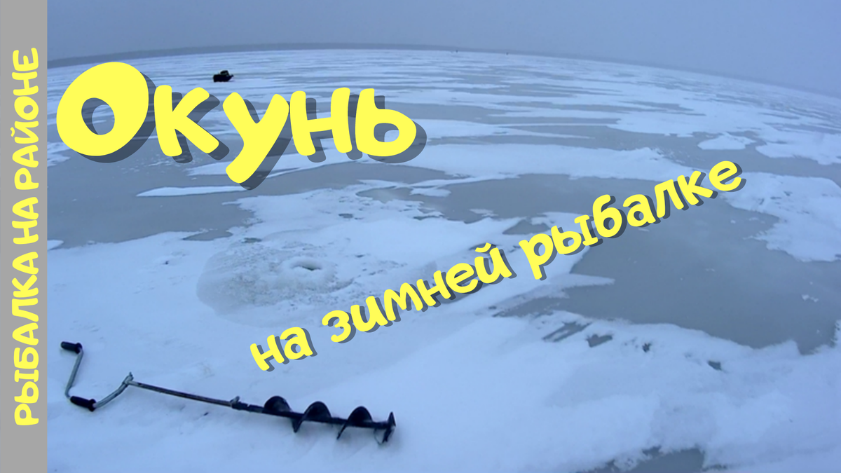 Окунь на зимней рыбалке. Озеро Тростенское, Московская область | Столярная  мастерская 