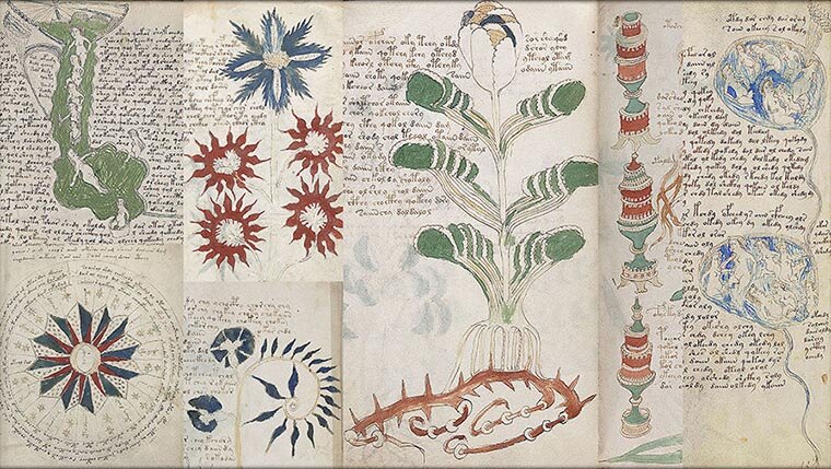 Рукопись Войнича, самая таинственная рукописная книга в мире