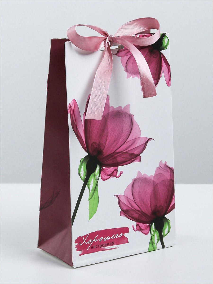 Подарочный пакет. Красивые пакеты. Пакет подарочный (бумажный). Огромные подарочные пакеты. Пакет подарочный однотонный.
