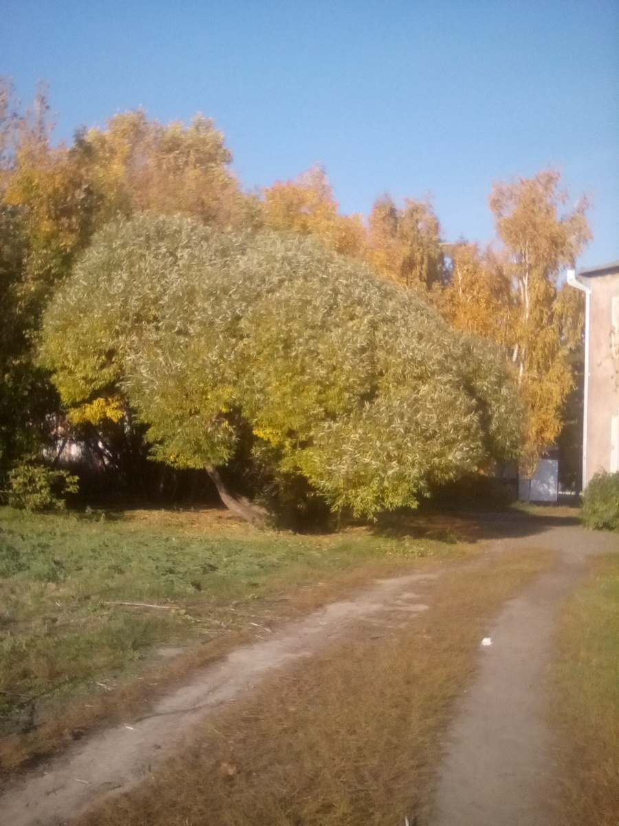 осень, Снова осень