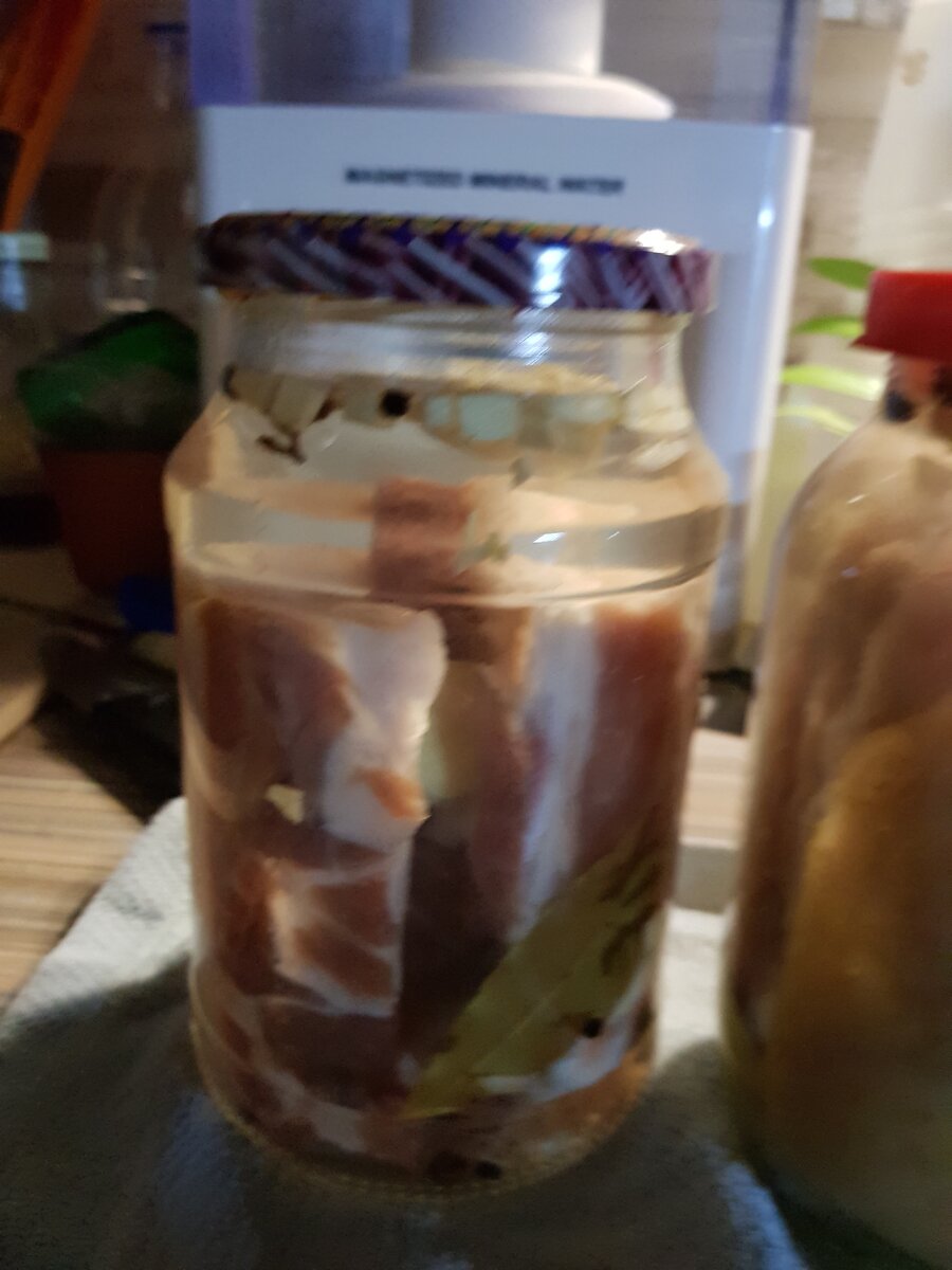 Добавляем к салу специи и заливаем рассолом