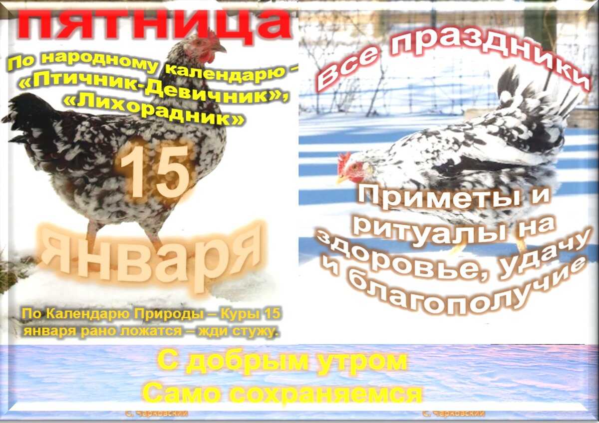 Встречаем новый день