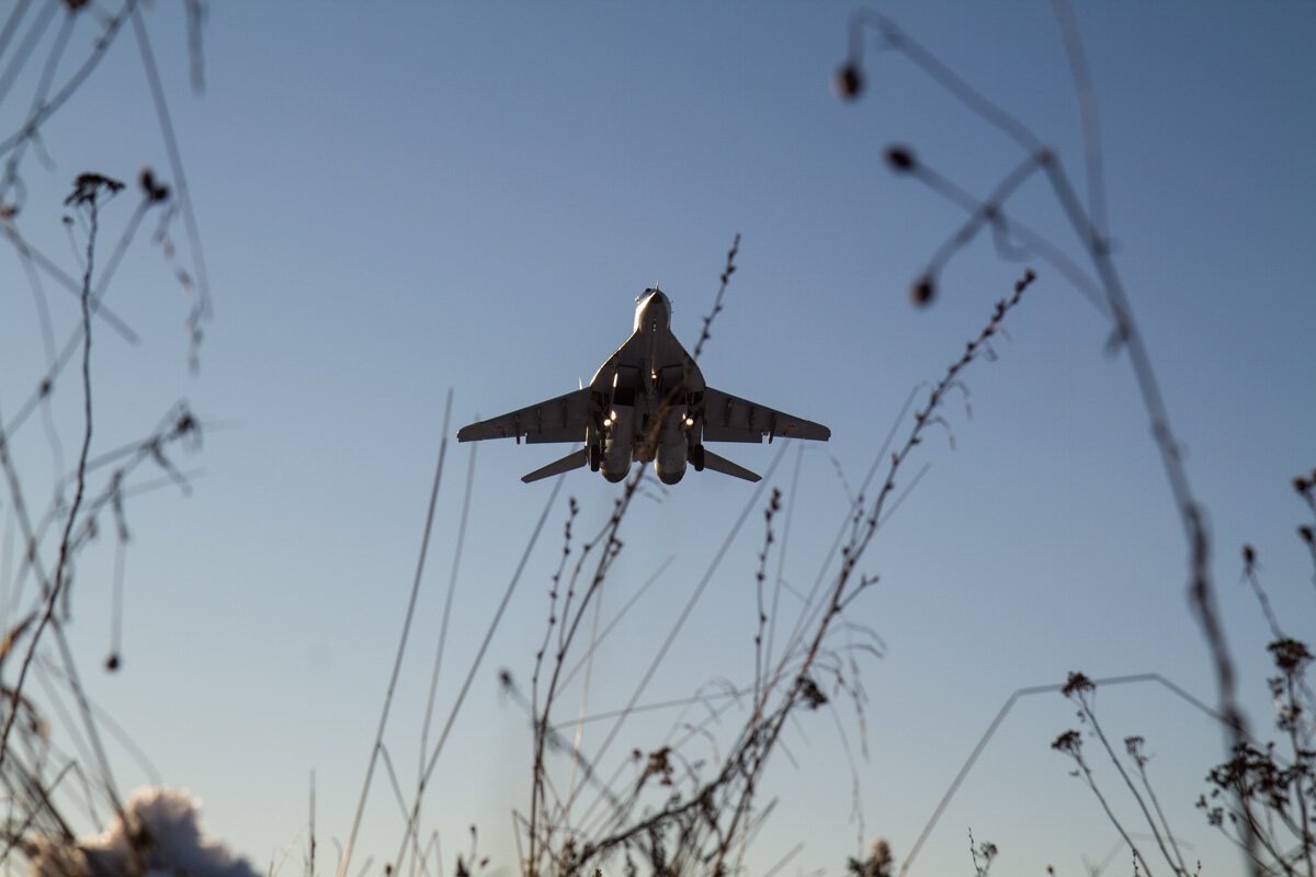 кстати МиГ-29 Стрижей, но не в окраске их