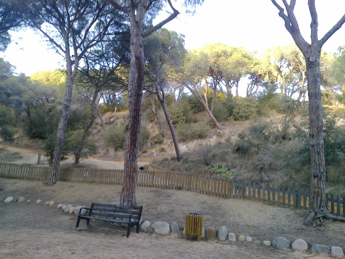 парк ярусами